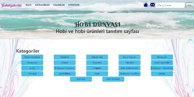 Web Tasarım
