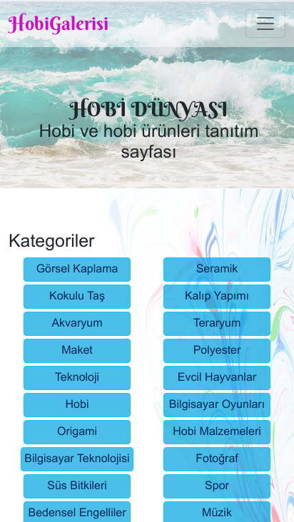 Web Tasarım