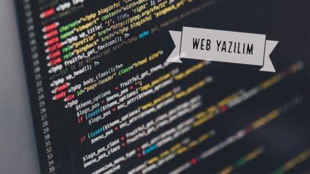 web yazılım